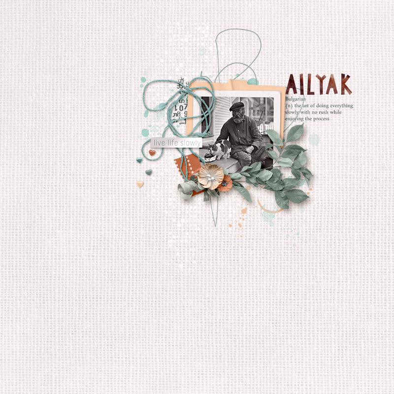 ailyak