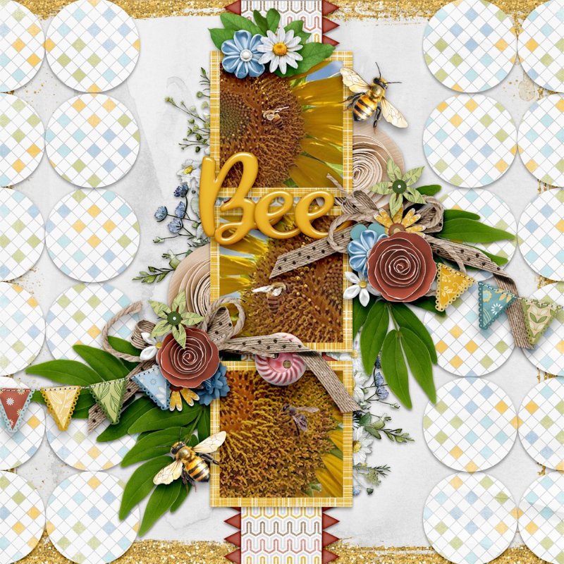 aimeeh-Daisies-1000.jpg