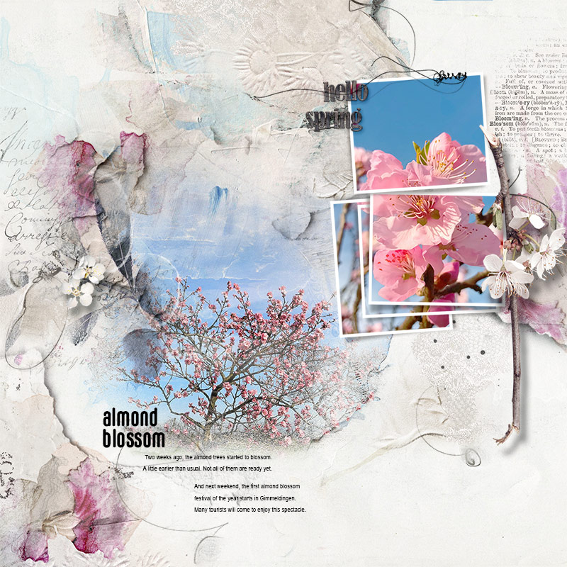 almond blossom