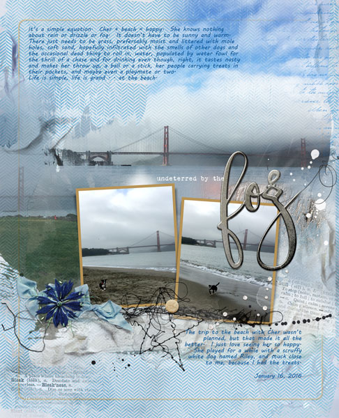 ALT 219 Crissy Field