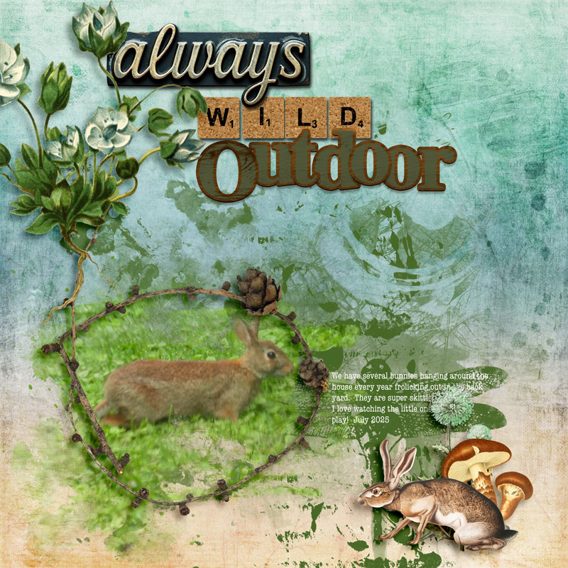 Always-Wild-Outdoor