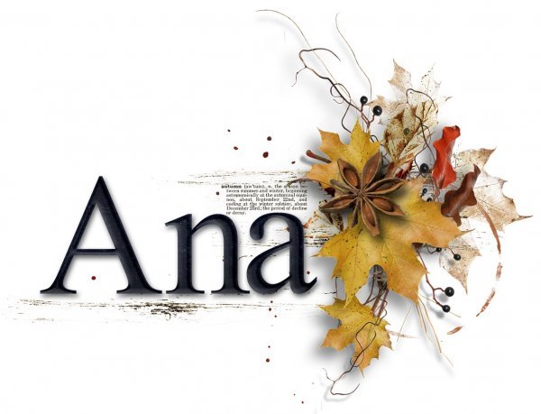 Ana´s Siggie