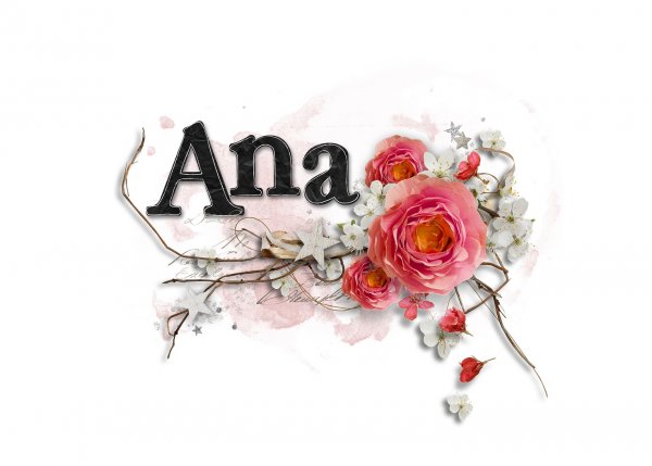 Ana signature!