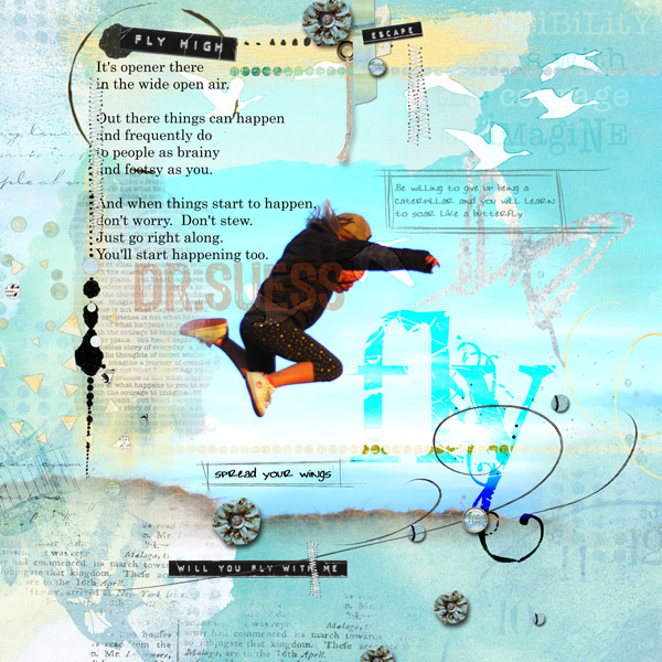 and fly