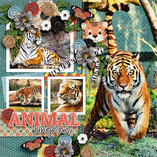 Animal Kingdom