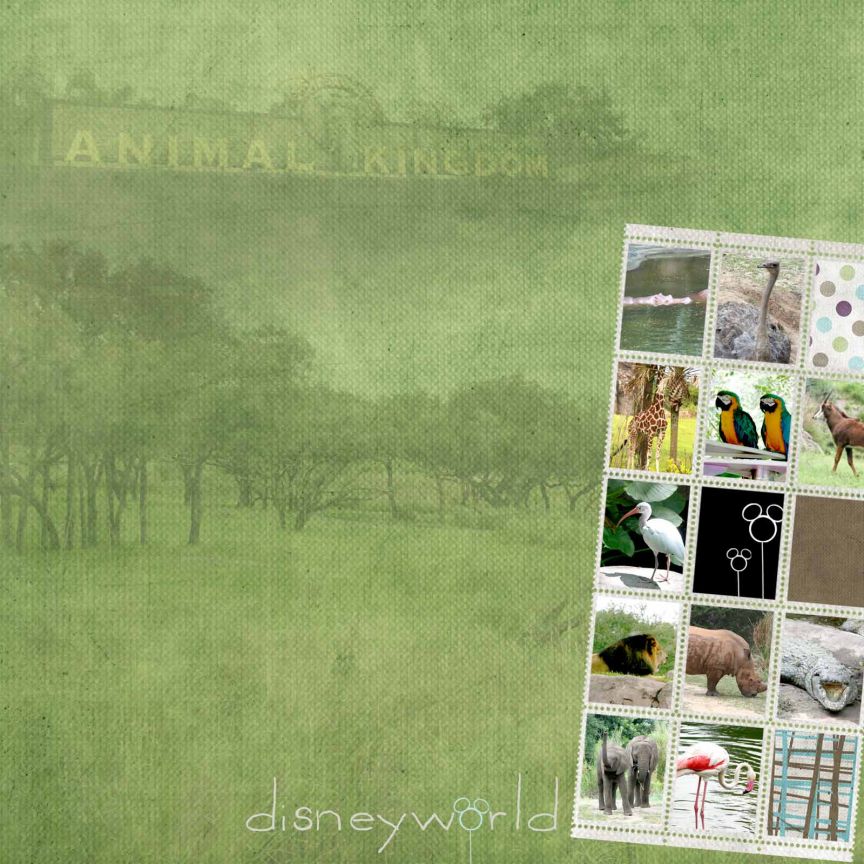animals everywhere.