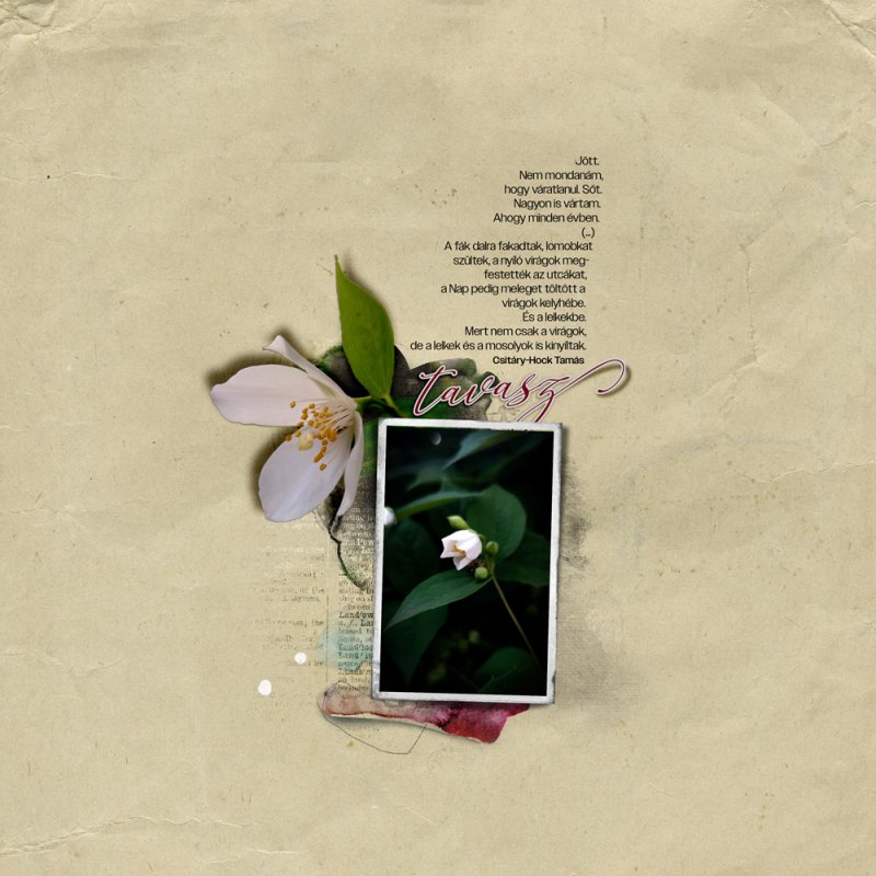 anna-apsnes-digital-scrapbook-artplay-flaneur-collection-beszteri-spring_1000.jpg