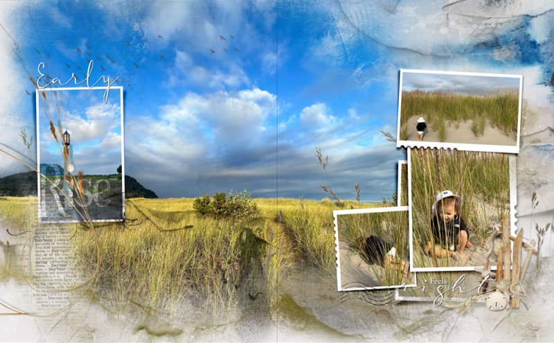 anna-aspnes--art-play-wildgrass-digital-art  Seaside Dunes