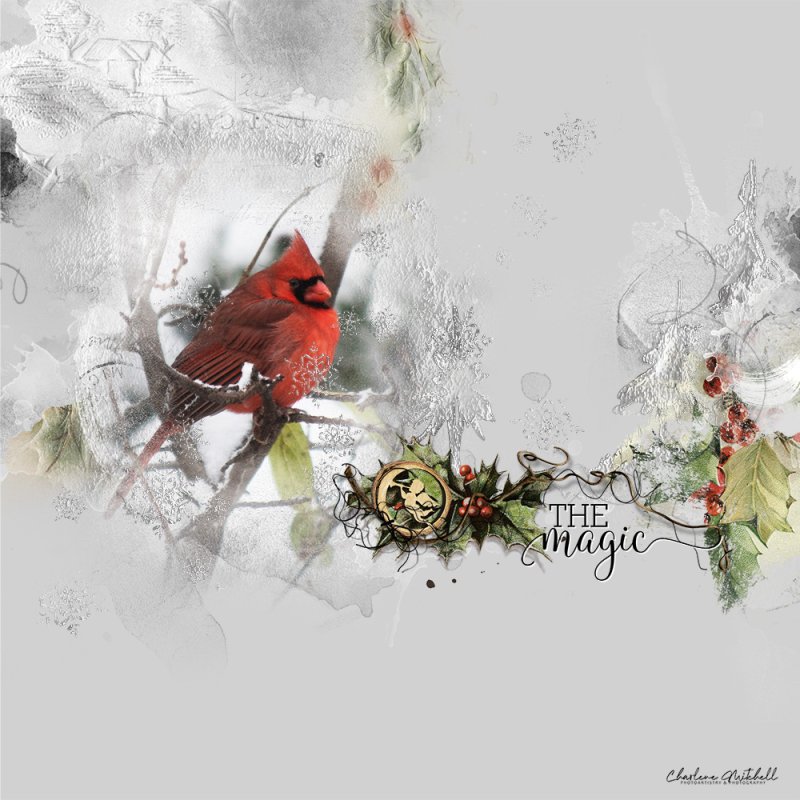 anna-aspnes-digital-art-artplay-collection-joyeux-WinterCardinal2