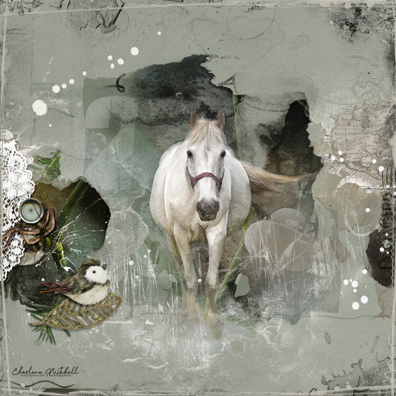 anna-aspnes-digital-art-artplay-collection-mistletoe-WhoBelongstothisHorse