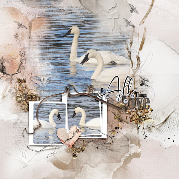 anna-aspnes-digital-art-artplay-collection-Sayonara-ksacry Swan Love