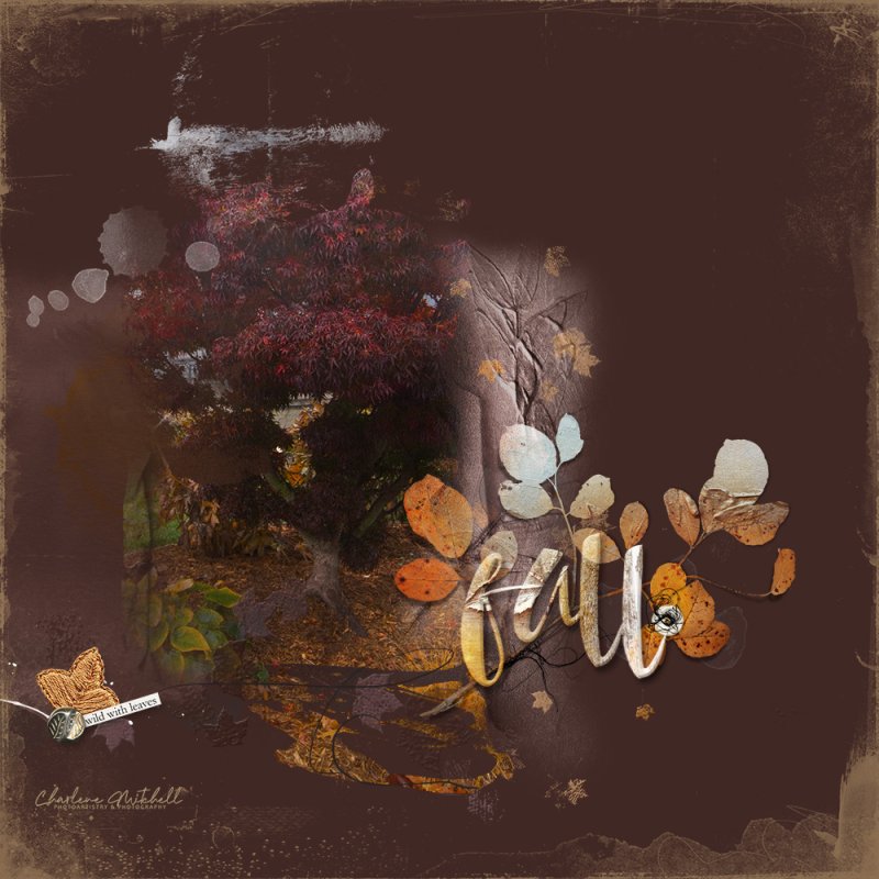 anna-aspnes-digital-art-artplay-collection-wildautumn-JapaneseMaple