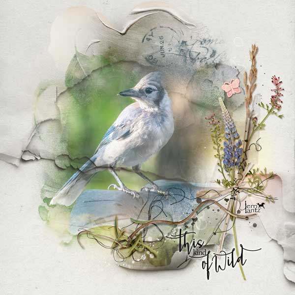 anna-aspnes-digital-art-artplay-Ephemeral Collection-Jerri Lantz-Bluejay