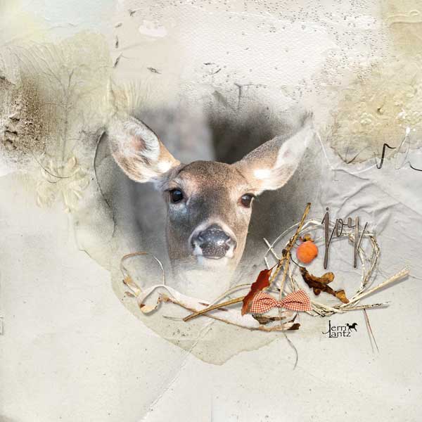 anna-aspnes-digital-art-artplay-Kinsfolk Collection-Jerri Lantz-Joy