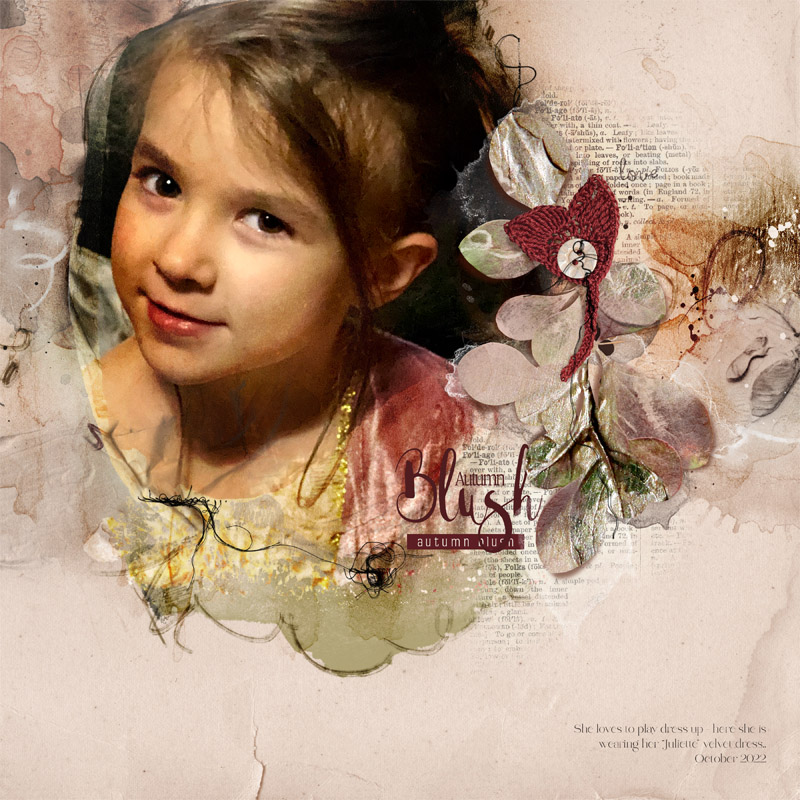 anna aspnes-digital art-artplay palette fallen blush-nadams-autumn blush.jpg