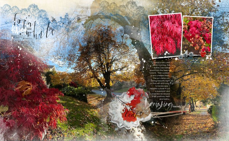 anna-aspnes-digital-art-artplay-serein-scenic-template-album-8-diane.jpg