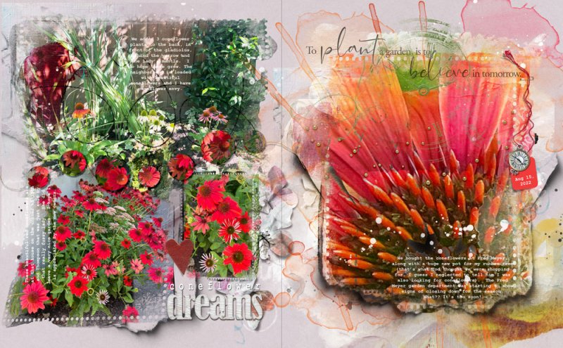 anna-aspnes-digital-art-bundle-diane-coneflowers