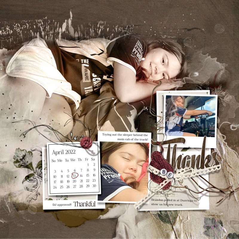 anna-aspnes-digital-art-fallen-blush-month-review-template-album-no-6-michelle-thanks.jpg