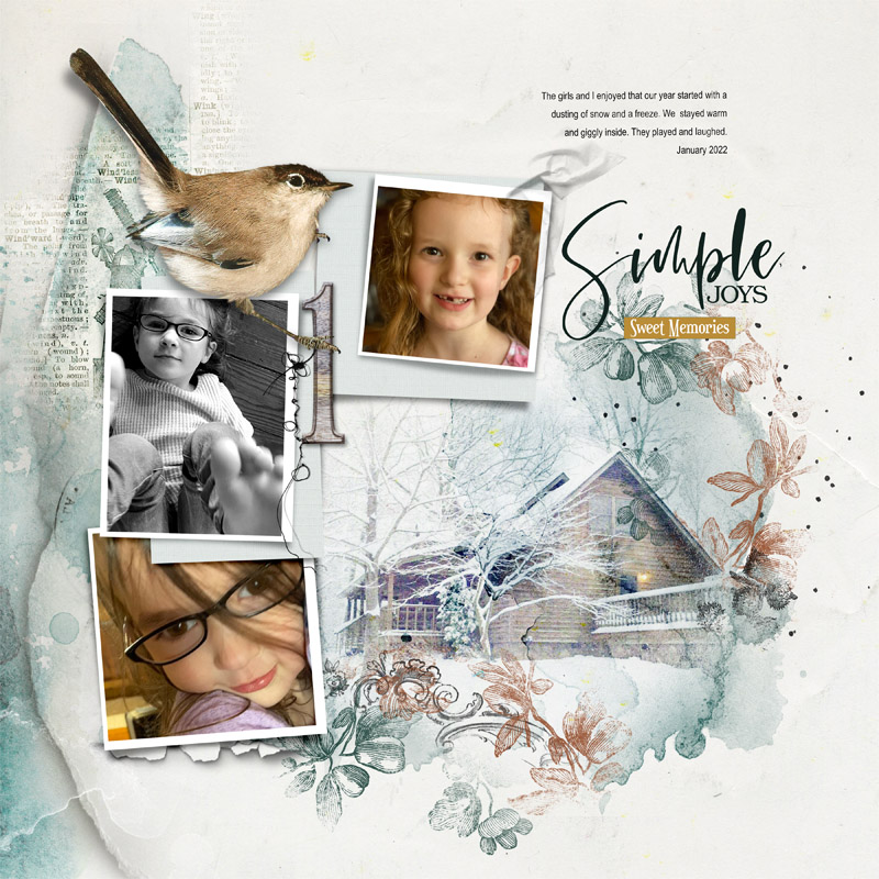 anna aspnes-digital art-project template album no.8-1-nadams-simple joys.jpg