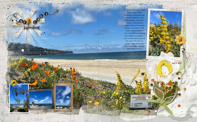 anna-aspnes-digital-scrapbook-artplay-collection-daffodil-diane-sunny-wednesday.jpg