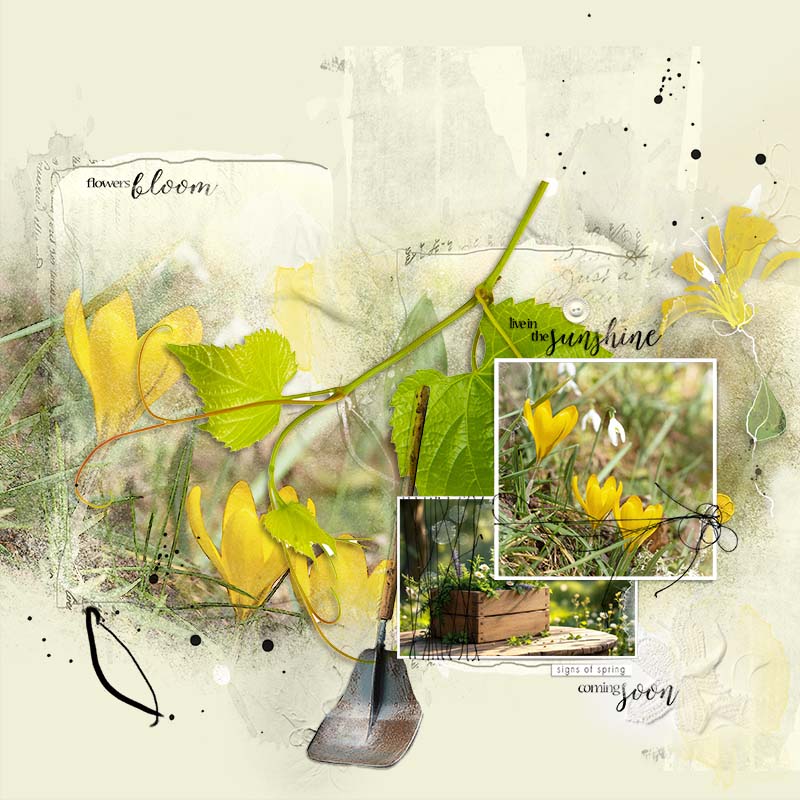 anna-aspnes-digital-scrapbook-artplay-collection-daffodil-pam-1.jpg