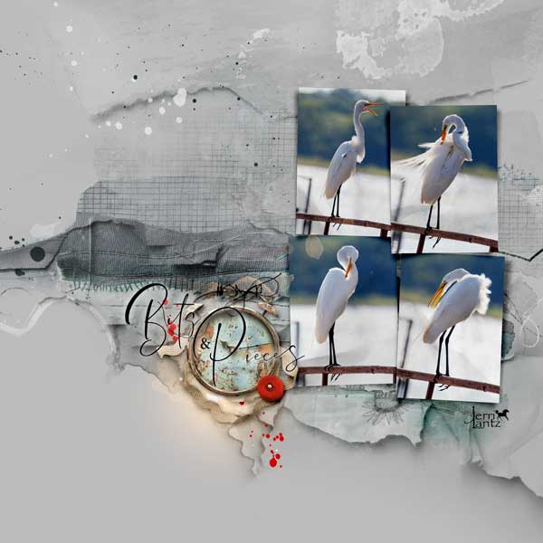 anna-aspnes-digital-scrapbook-artplay-collection-fabric-jerri-egret.jpg