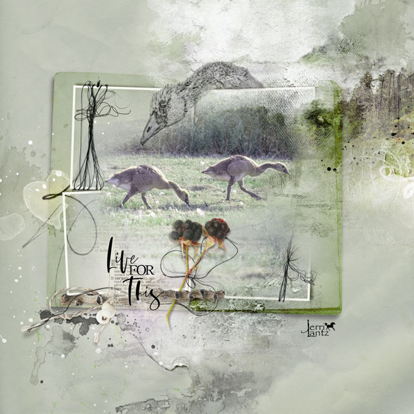 anna-aspnes-digital-scrapbook-artplay-collection-fernweh-jerri-live.jpg