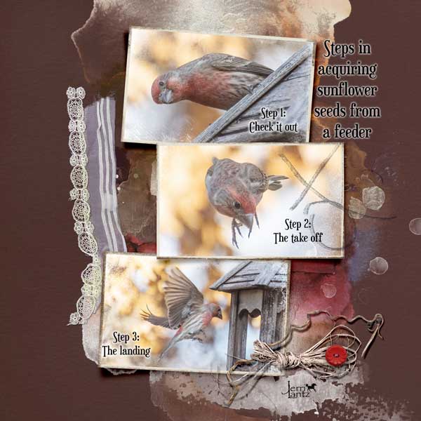 anna-aspnes-digital-scrapbook-artplay-collection-halcyon-jerri-house-finch.jpg