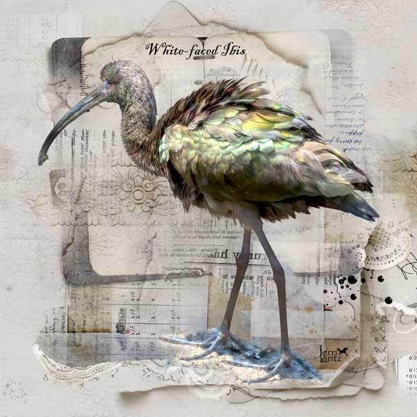 anna-aspnes-digital-scrapbook-artplay-collection-homemade-jerri-ibis.jpg