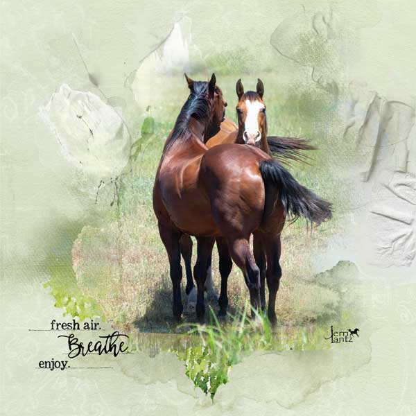 anna-aspnes-digital-scrapbook-artplay-collection-meadow-jerri-breathe.jpg