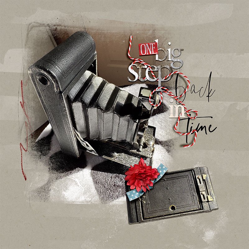 Anna-Aspnes-digital-scrapbook-artplay-collection-Mischance-Old-Camera-Joan.jpg