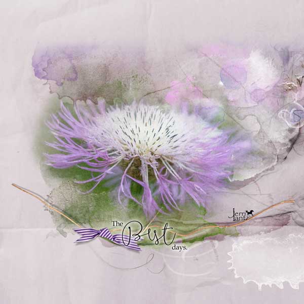 anna-aspnes-digital-scrapbook-artplay-collection-paraiso-jerri-thistle.jpg.