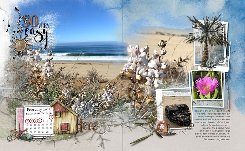 anna-aspnes-digital-scrapbook-artplay-fortuna-collection-snowy-beach-notions-diane-feb.jpg