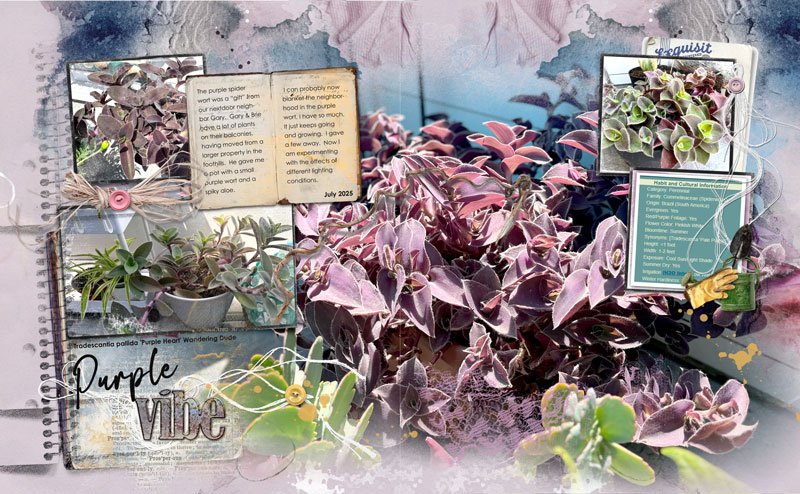 anna-aspnes-digital-scrapbook-artplay-halcyon-collection-garden-notions-diane-purplewort