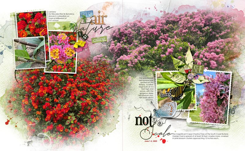 anna-aspnes-digital-scrapbook-artplay-linger-collection-travel-template-album-9-diane.jpg