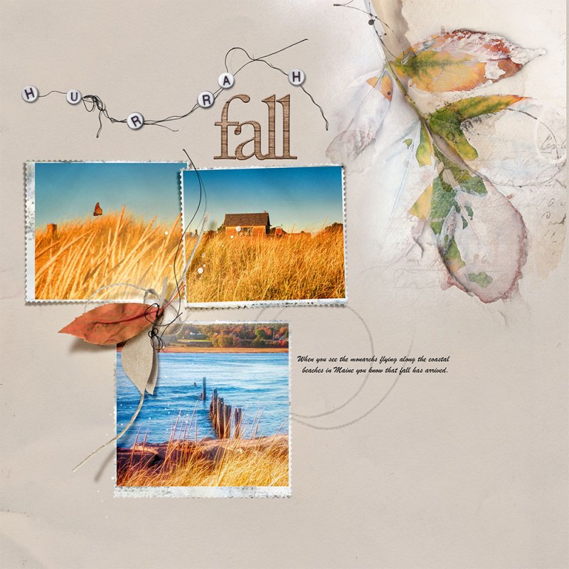 Anna-Aspnes-digital-scrapbook-artplay-Palette-Caducous-Fall-Joan.jpg