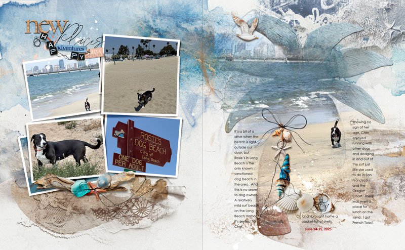 anna-aspnes-digital-scrapbook-artplay-spindrift-collection-diane-rosies beach