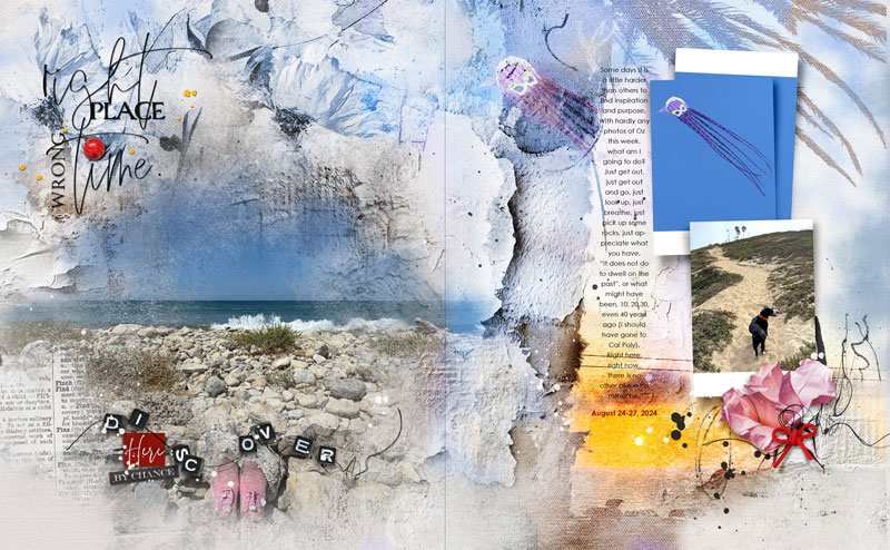 anna-aspnes-digital-scrapbook-artplay-trouvaille-collection-diane-rightplace.jpg