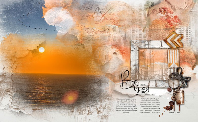 anna-aspnes-digital-scrapbook-artplay-wildflowert-collection-street-signs-skyline-brushset-sun...jpg