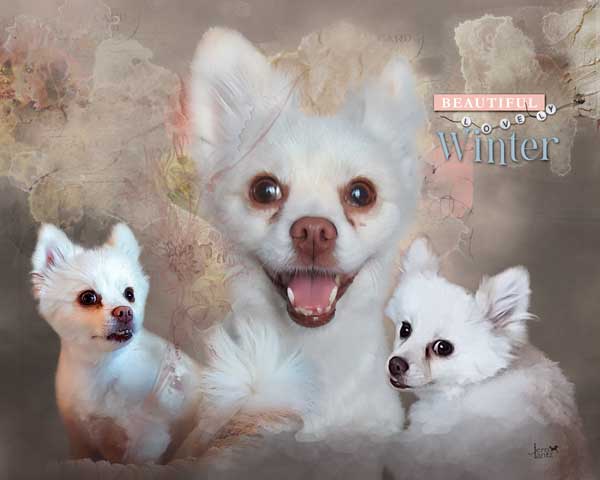 anna-aspnes-digital-scrapbook-collection-tres-bon-jerri-winter.jpg