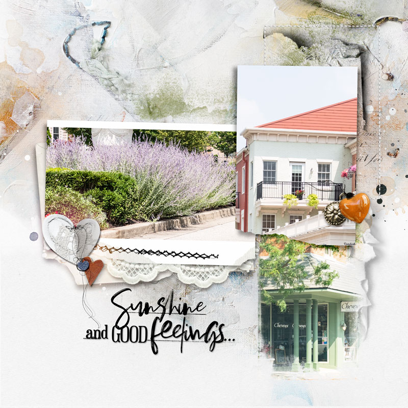 anna-aspnes-digital-scrapbook-FITP3L-beverly-localdrivedbl-R.jpg