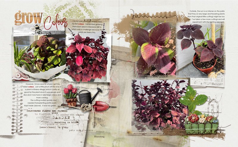 anna-aspnes-digital-scrapbook-flower-gardens-notions-fotoinspired-templates-3K-diane-2.jpg