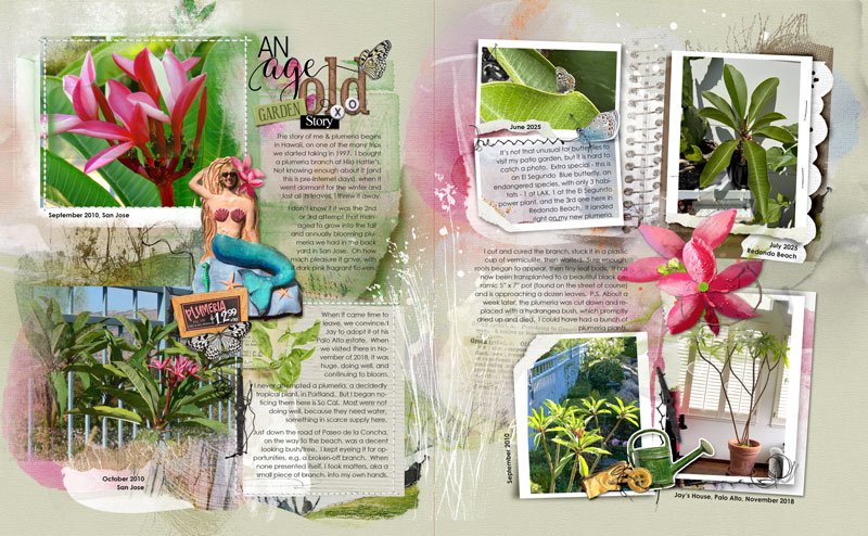 anna-aspnes-digital-scrapbook-flower-gardens-notions-fotoinspired-templates-3K-diane-plumeria.jpg