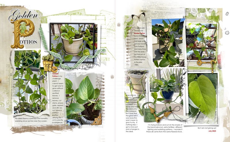 anna-aspnes-digital-scrapbook-flower-gardens-notions-fotoinspired-templates-3K-diane-pothos
