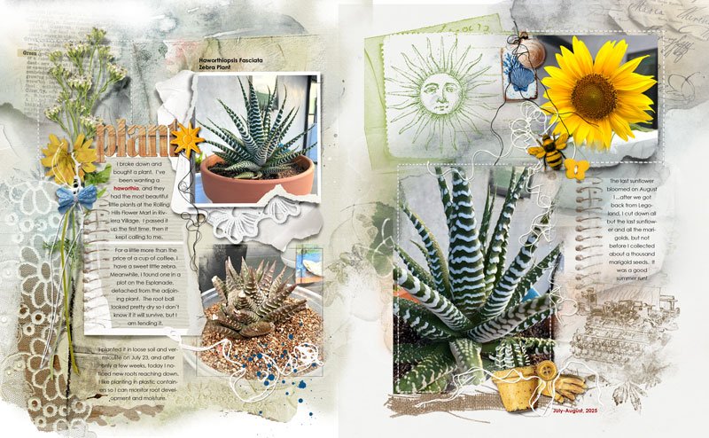anna-aspnes-digital-scrapbook-fotoinspired-templates-3L-artplay-wildflower-collection-diane-ha...jpg