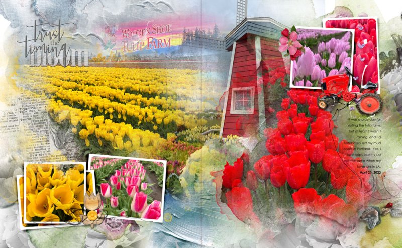 anna-aspnes-digital-scrapbook-multi-foto-template-album-3-diane-tulips1.jpg