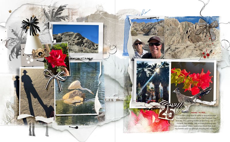 anna-aspnes-digital-scrapbook-multi-media-new-year-diane-palm-springs.jpg