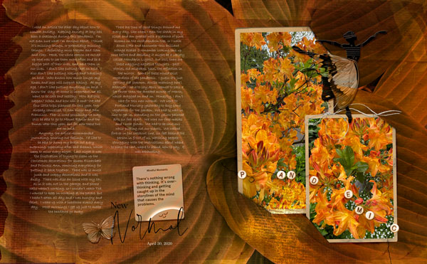Anna Color 4-24 Azalea Journal