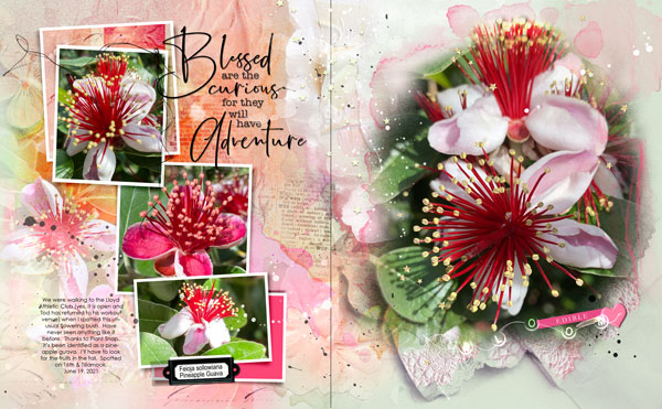 Anna Color 6-19 MultiFoto Template Album 2 - Pineapple Guava