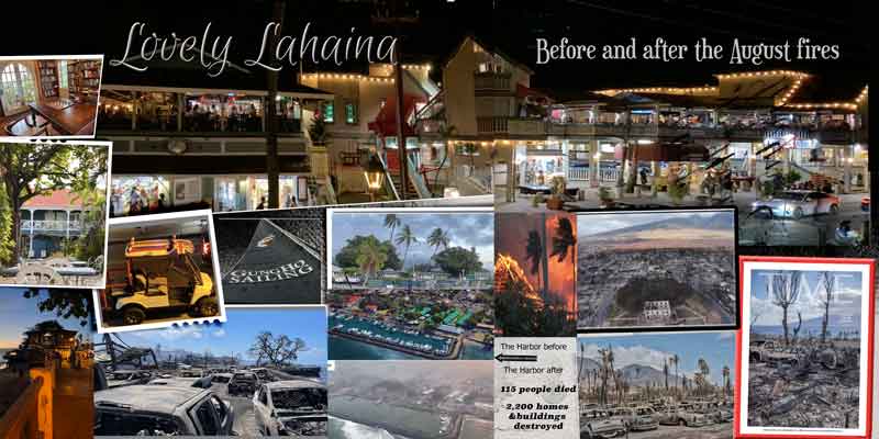 Anna Color Challenge  - Lahaina fires